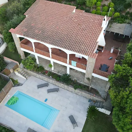 Ty فيلة بالس